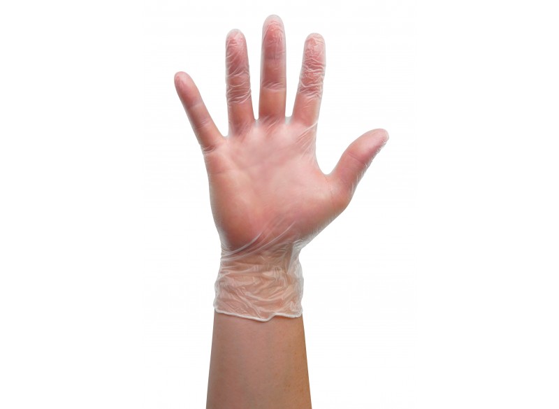 Extra-large Vinyl Gloves - Latex Free - Clear - Powder Free - Pack of 100